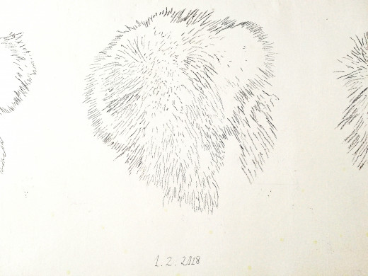 Tatiana Kocmur, Poslednja Alopecia Areata, prostorska postavitev, 2019, PRMEJDUŠ, Ljubljana